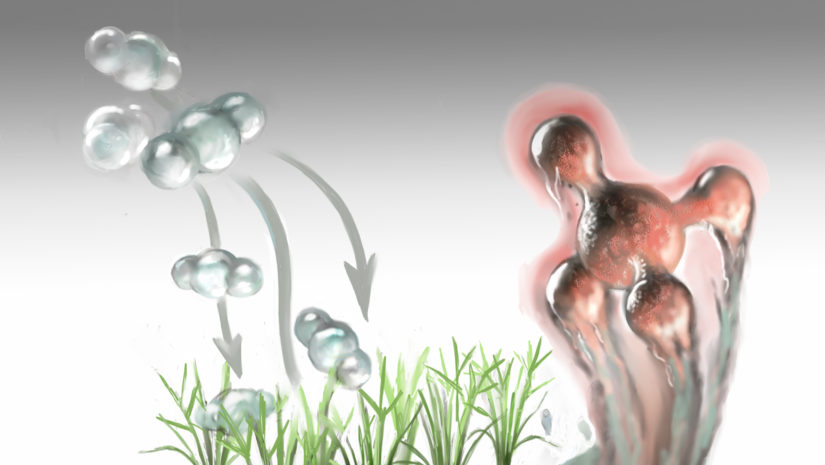 leshyk illustration rice paddy methane