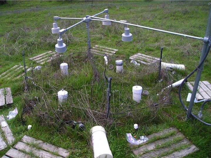 Experimental array for the Jasper Ridge Global Change research project showing heat lamps and measurement equipment