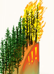 Artist rendition of wildfire changing the future ecosystem of a forested area