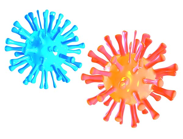 A blue and an orange microbe as seen microscopically on white background.