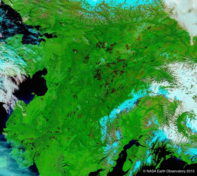 September 1, 2015 image of Alaskan burn scars taken from space by the NASA Earth Observatory.