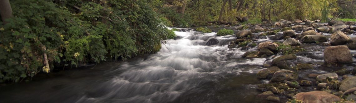 Aquatics, Stream Study