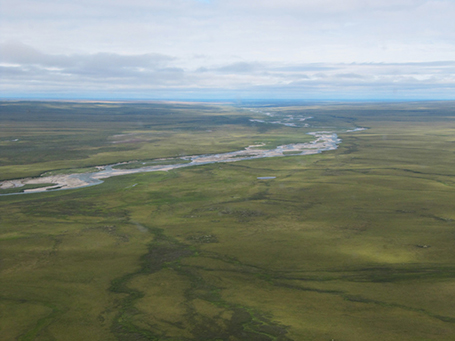 permafrost landscape in toolik alaska