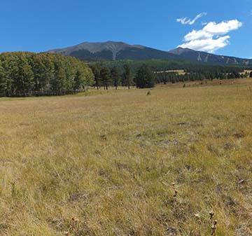 field and mountain in arizona