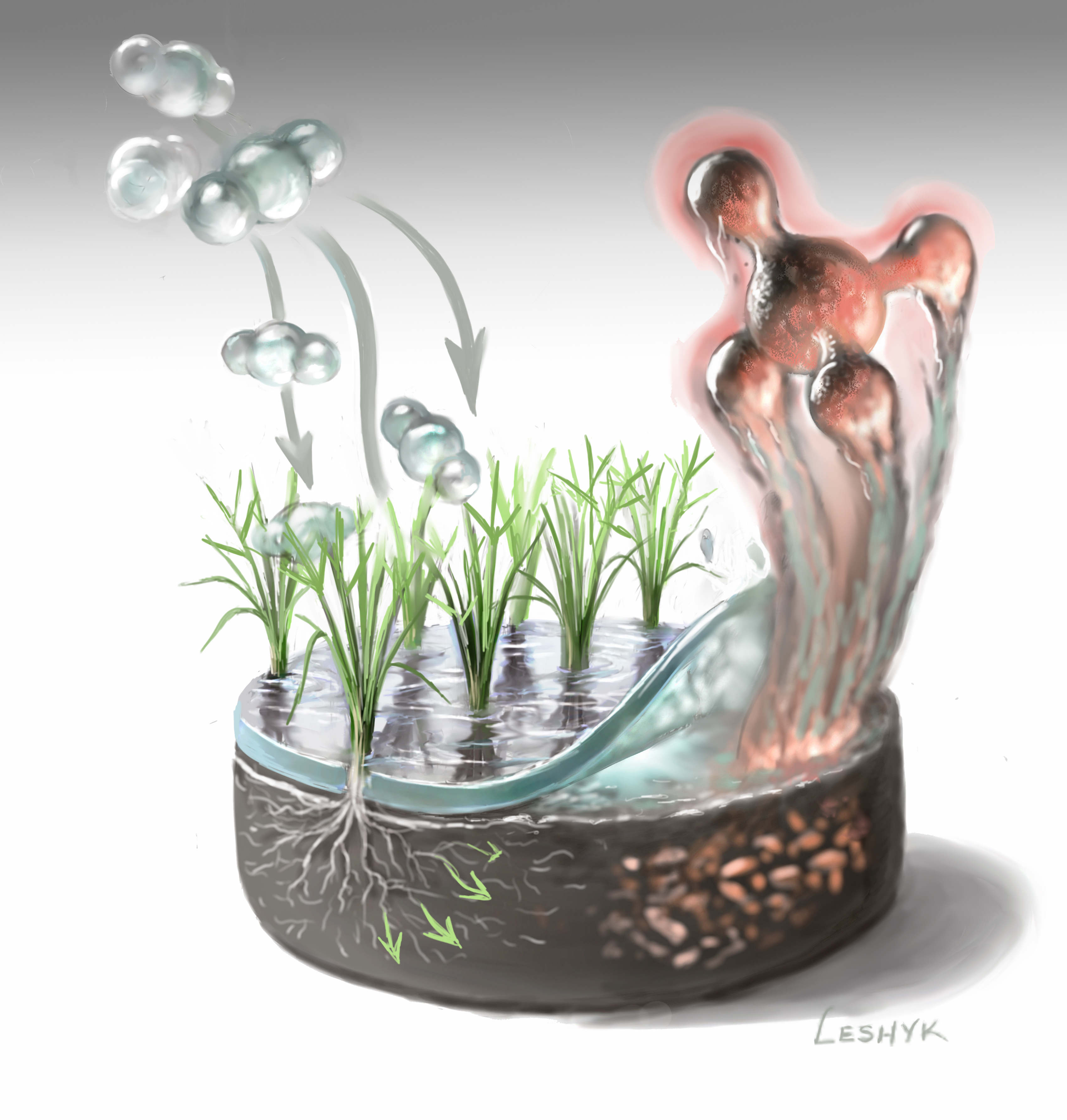 leshyk illustration rice paddy methane