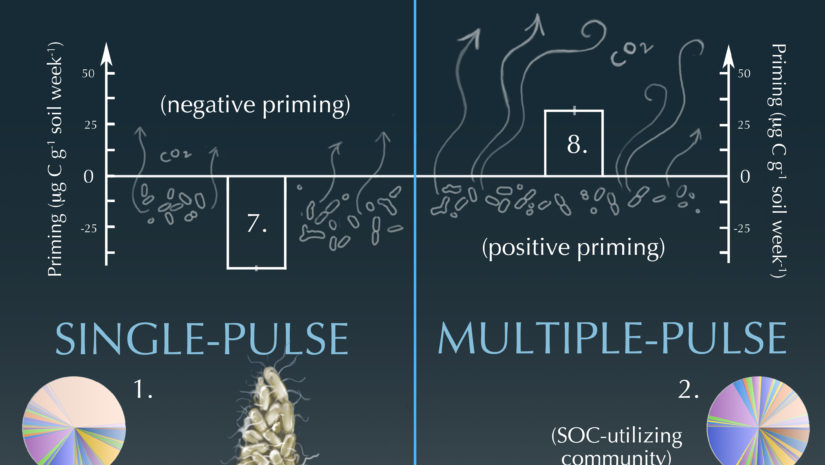 leshyk illustration single and multiple pulse