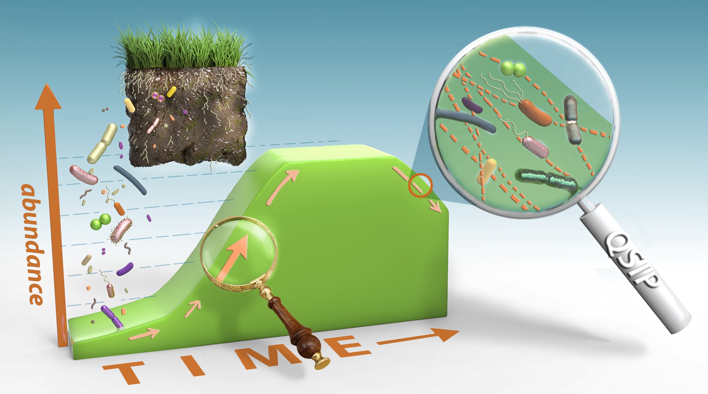 Bacterial_growth_rate_Leshyk