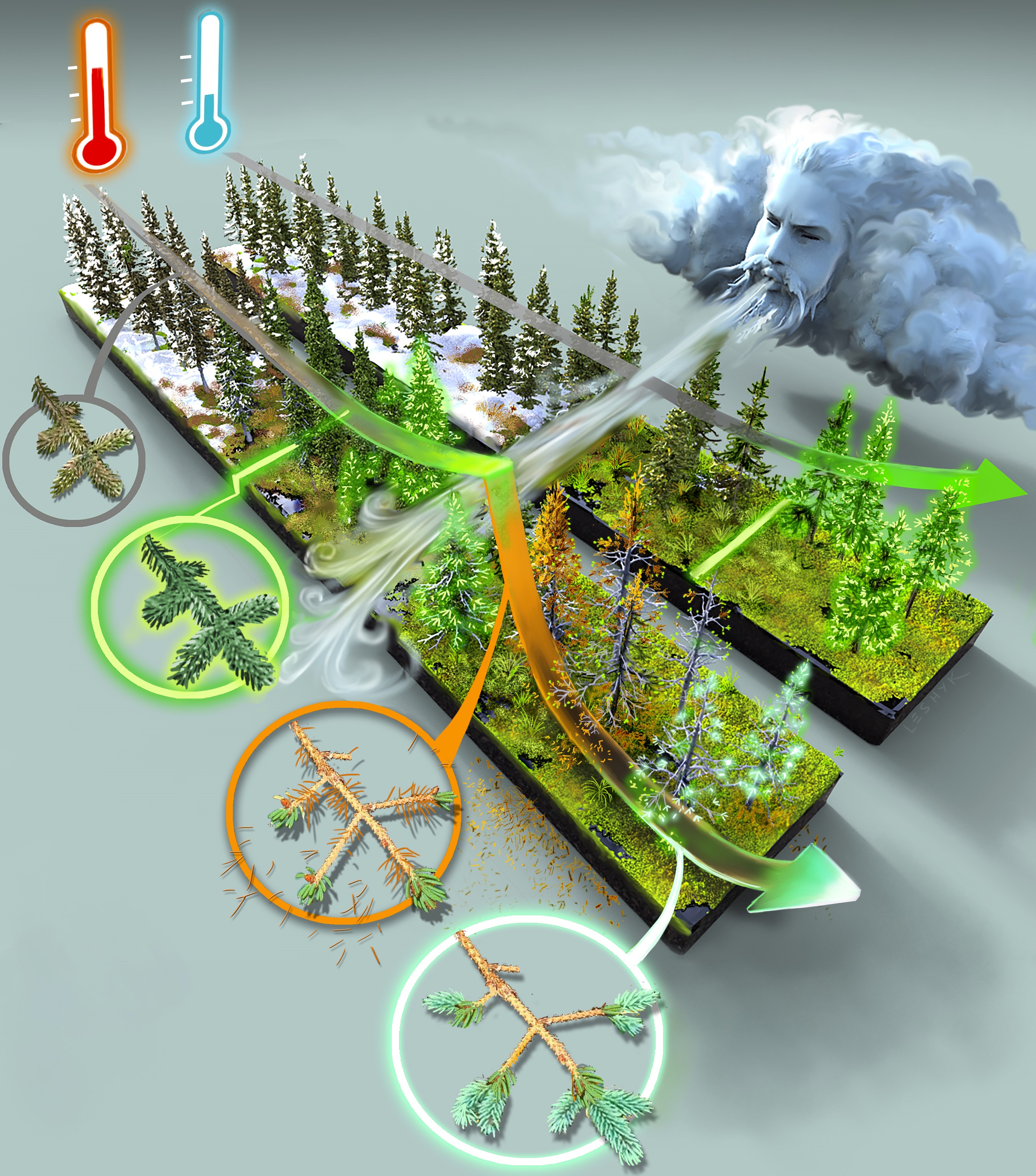 Boreal forest phenology with warming by V. Leshyk