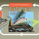 A CIRCUIT SHOWS HOW CLIMATE WARMING MAY ALTER DIFFERENT ECOLOGICAL LEGACIES IN THE ARCTIC BOREAL FOREST, WHICH THEN FEEDBACK INTO CLIMATE WARMING AND CHANGES TO LANDSCAPE PROCESSES.