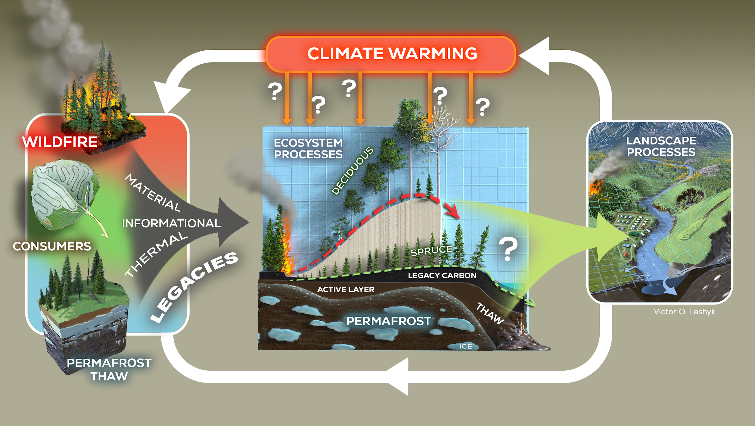 A CIRCUIT SHOWS HOW CLIMATE WARMING MAY ALTER DIFFERENT ECOLOGICAL LEGACIES IN THE ARCTIC BOREAL FOREST, WHICH THEN FEEDBACK INTO CLIMATE WARMING AND CHANGES TO LANDSCAPE PROCESSES.