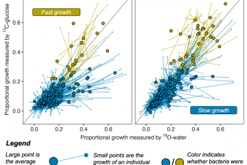 A SCATTERPLOT DEPICTS HOW MUCH CARBON OR OXYGEN ISOTOPE DIFFERENT SOIL BACTERIA TOOK INTO THEIR DNA (A PROXY FOR GROWTH) DURING A 7-DAY EXPERIMENT. SMALL POINTS REPRESENT THE GROWTH OF INDIVIDUAL BACTERIAL STRAINS LINKED BY LINES TO THE AVERAGE GROWTH OF THEIR CLOSEST IDENTIFIED GENUS. COLORS WERE ASSIGNED BY A CLUSTERING ALGORITHM TO GROUP GENERA INTO FAST-GROWING OR SLOW-GROWING LIFESTYLES.