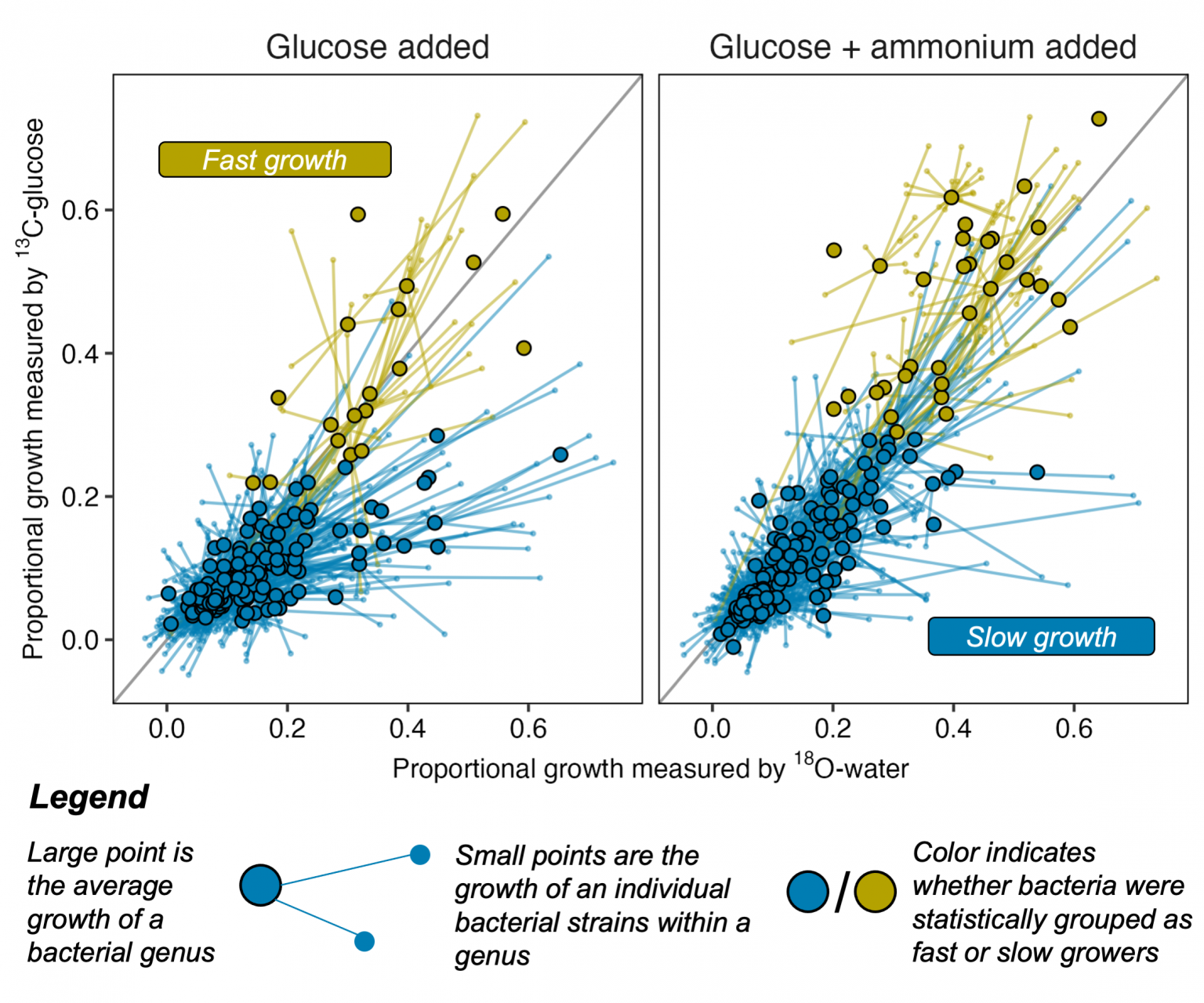 A SCATTERPLOT DEPICTS HOW MUCH CARBON OR OXYGEN ISOTOPE DIFFERENT SOIL BACTERIA TOOK INTO THEIR DNA (A PROXY FOR GROWTH) DURING A 7-DAY EXPERIMENT. SMALL POINTS REPRESENT THE GROWTH OF INDIVIDUAL BACTERIAL STRAINS LINKED BY LINES TO THE AVERAGE GROWTH OF THEIR CLOSEST IDENTIFIED GENUS. COLORS WERE ASSIGNED BY A CLUSTERING ALGORITHM TO GROUP GENERA INTO FAST-GROWING OR SLOW-GROWING LIFESTYLES.